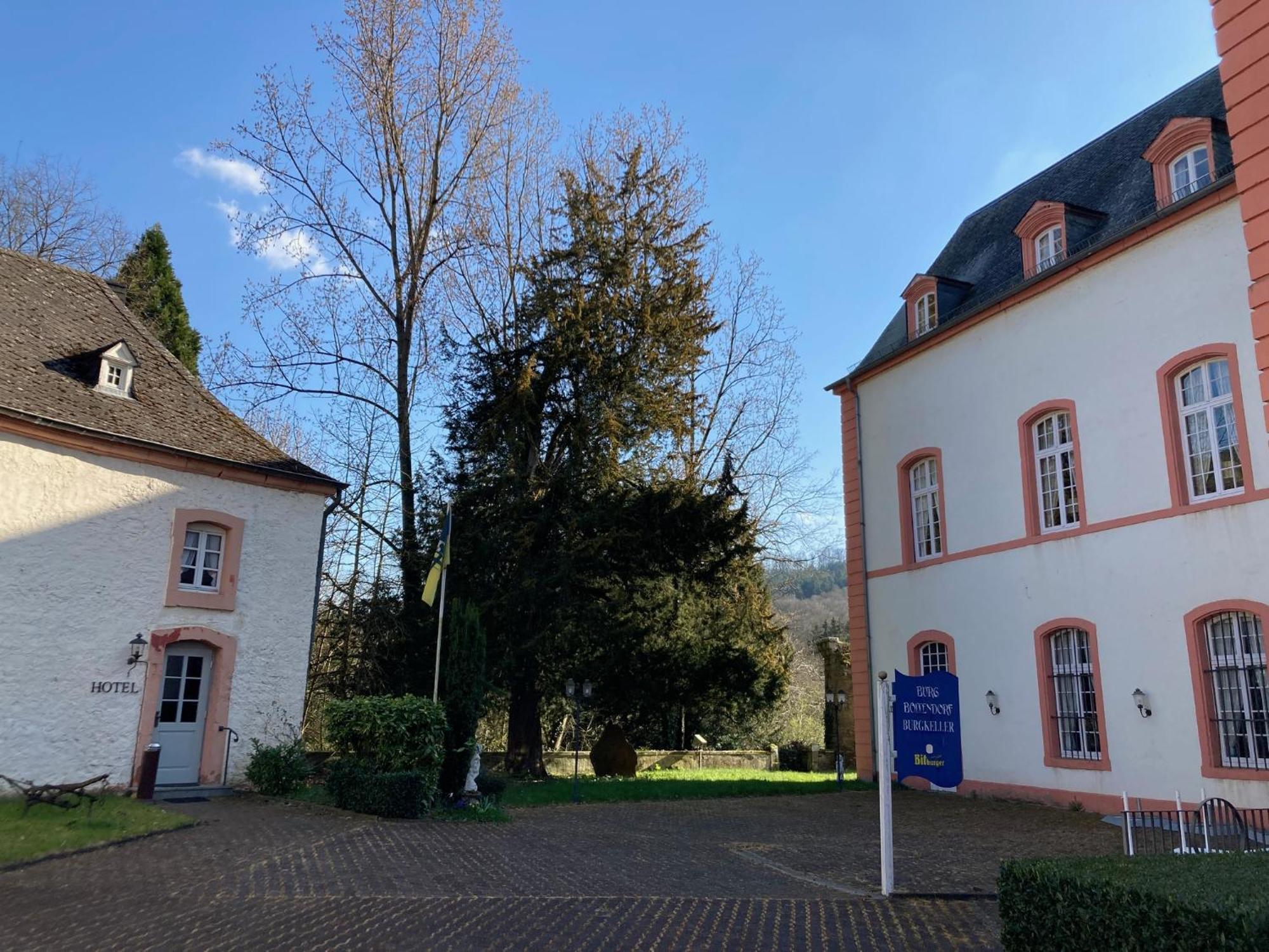 Hotel Burg Bollendorf Exteriér fotografie