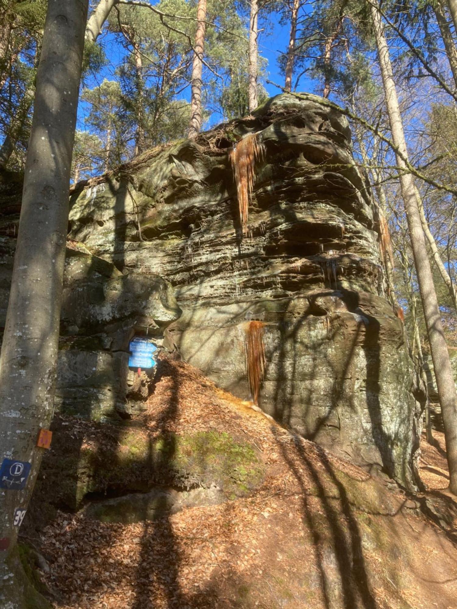 Hotel Burg Bollendorf Exteriér fotografie